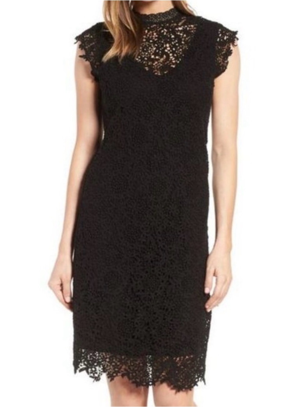 Velvet by Graham & Spencer Illusion Cap Sleeve Lace Sheath Dress XL